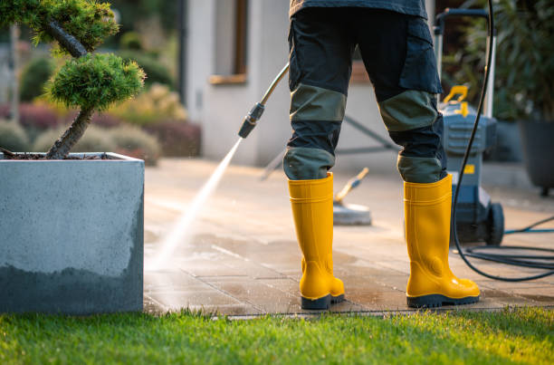 Best Residential Pressure Washing Services  in Llender, CA
